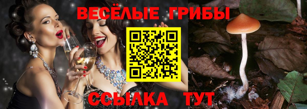 Псилоцибиновые грибы прущие грибы  Псилоцибиновые грибы мицелий  Вход с VPN  Медногорск 